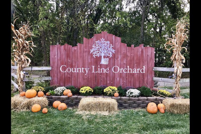 The full fall experience awaits at these apple orchards across the country