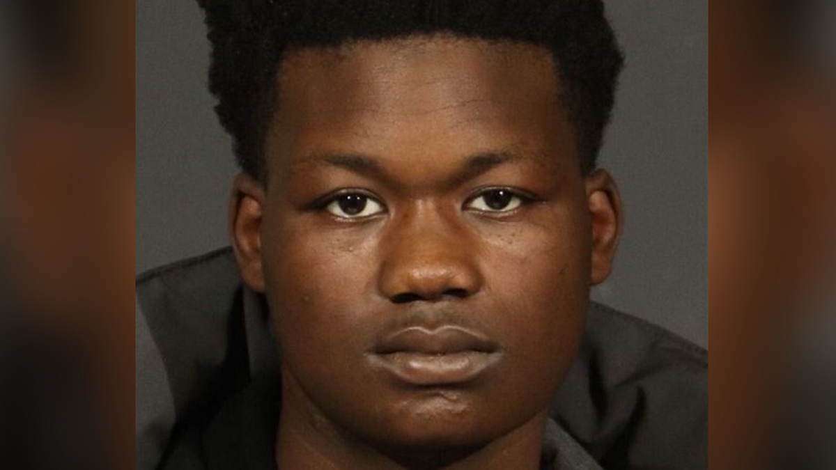 NYC teen named as shooter who killed a 29-year-old woman after she confronted him for groping her