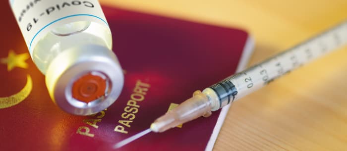 Vaccines are here; could digital passports proving inoculation be far behind?