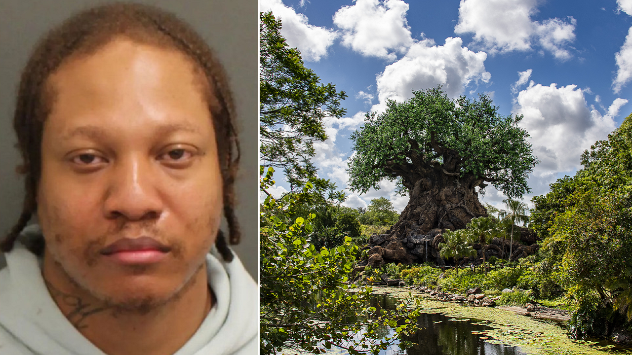 Fugitive from Brooklyn spotted and arrested at Disney World
