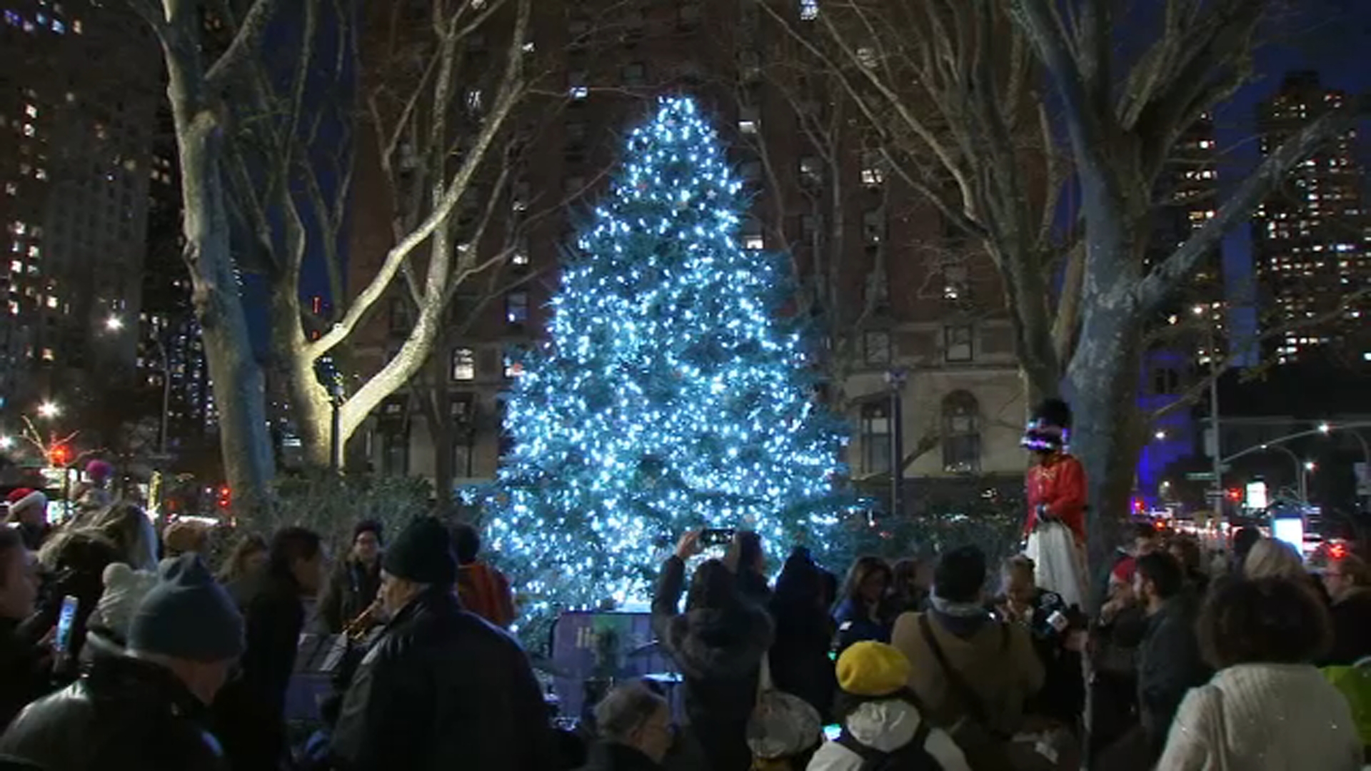 Christmas trees could cost you up to 20% more this year amid inflation