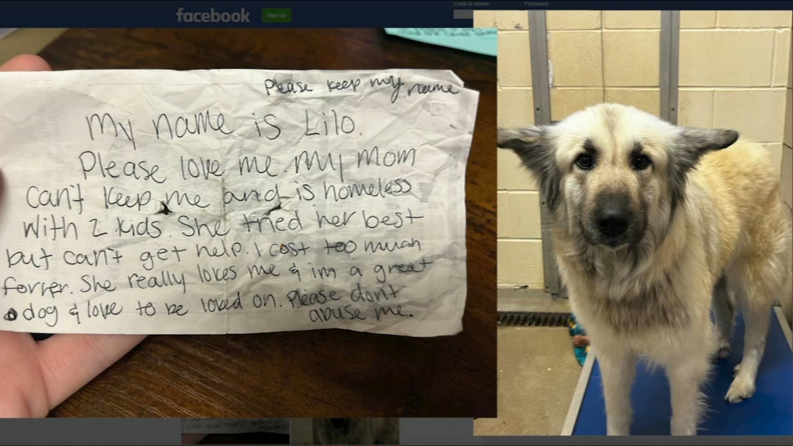 Abandoned dog reunited with owner who left heartbreaking note