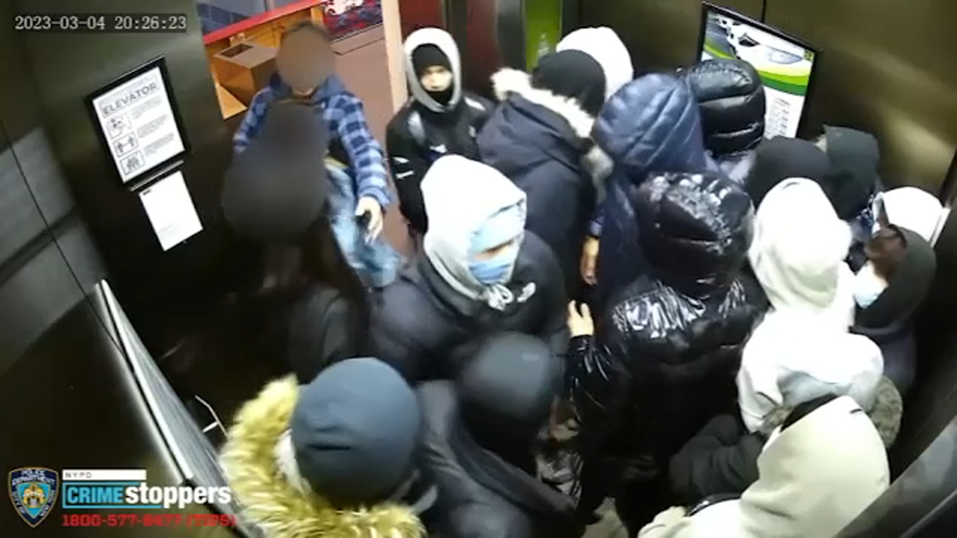 Watch group of 17 teens wanted for ransacking Queens restaurant squeeze into elevator