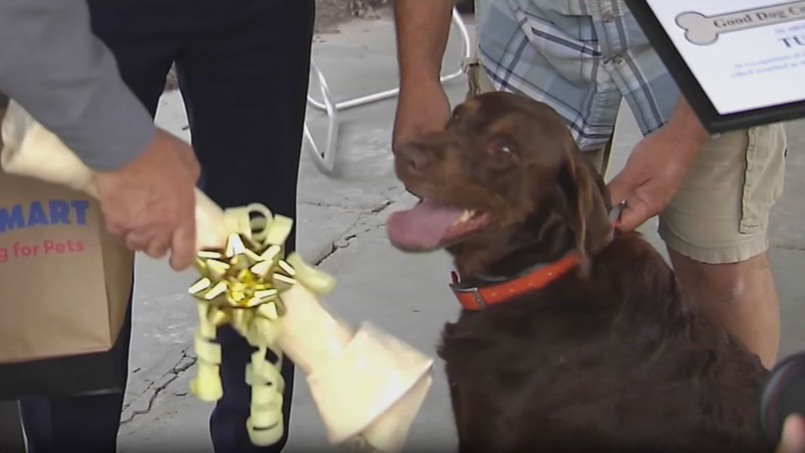 Dog who alerted owners to escaped inmate in backyard leading to his capture rewarded in toys